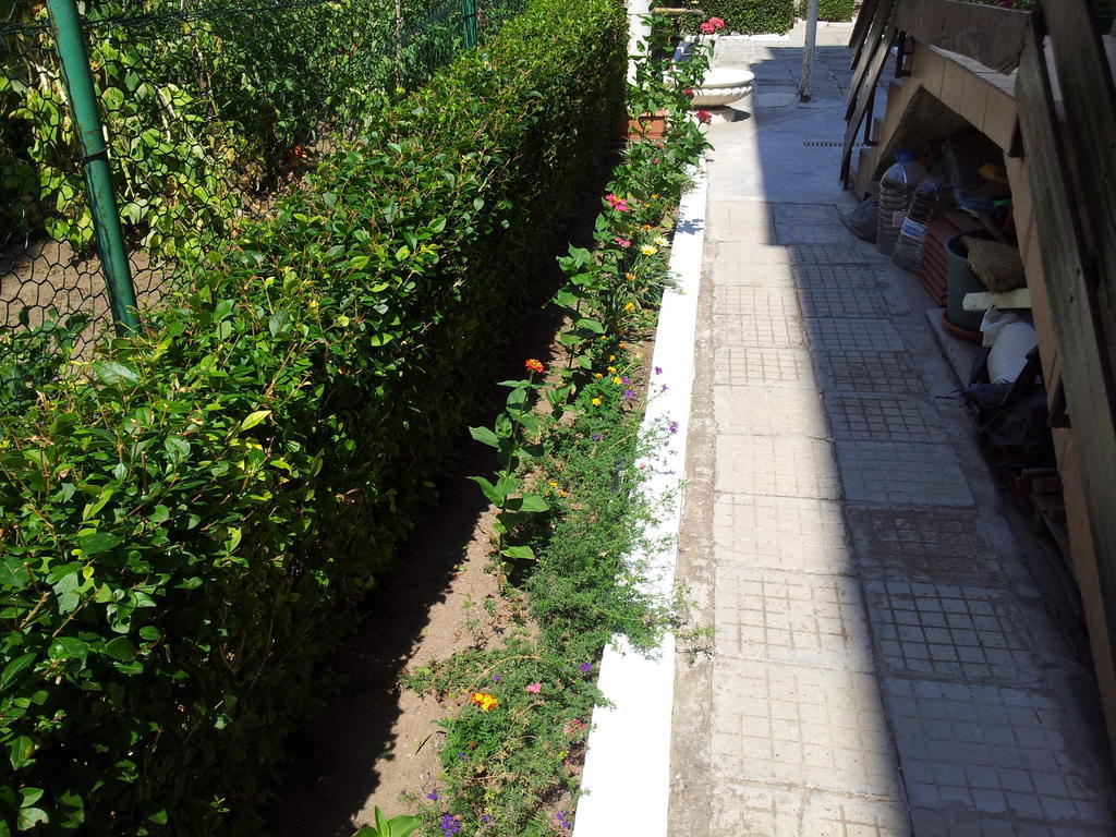 Hotel The House Next To The Beach Sosopol Exterior foto